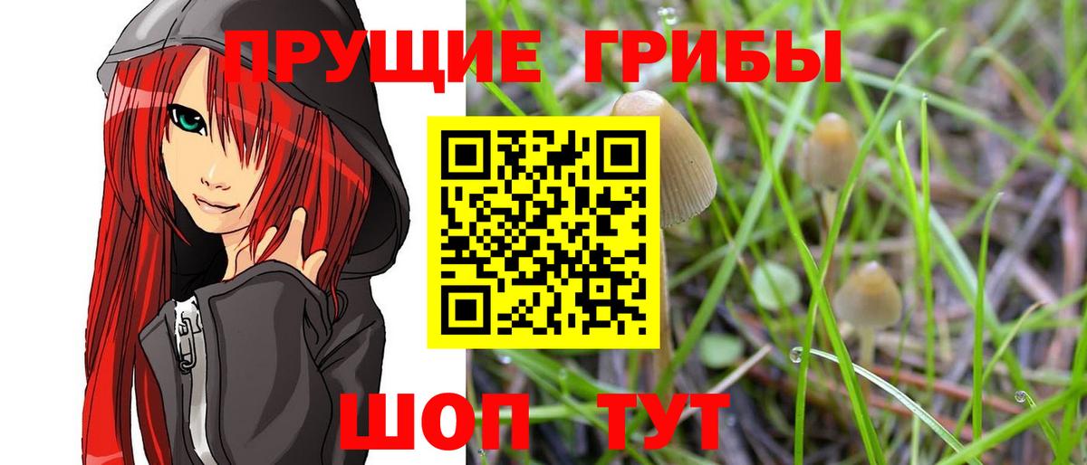 Псилоцибиновые грибы прущие грибы  Вход с VPN  Камышин 