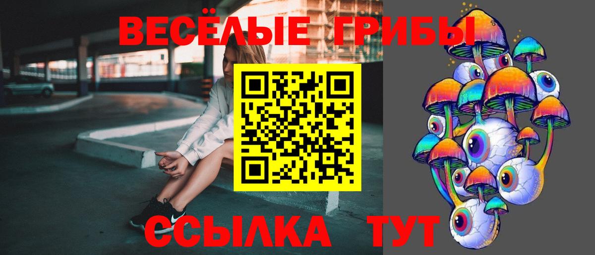 Псилоцибиновые грибы MAGIC MUSHROOMS Камышин